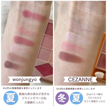 パーフェクトマルチアイズ/キャンメイク/アイシャドウパレットを使ったクチコミ(6枚目)