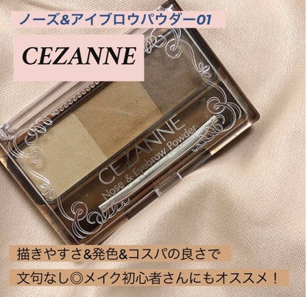 ノーズ&アイブロウパウダー/CEZANNE/パウダーアイブロウを使ったクチコミ(1枚目)