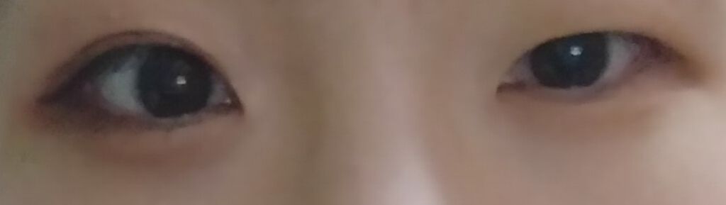 シルキースフレアイズ/キャンメイク/アイシャドウパレットを使ったクチコミ（1枚目）