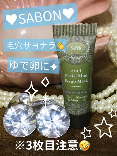 3in1 フェイシャル マッド スクラブ マスク/SABON/洗い流すパック・マスクを使ったクチコミ（1枚目）