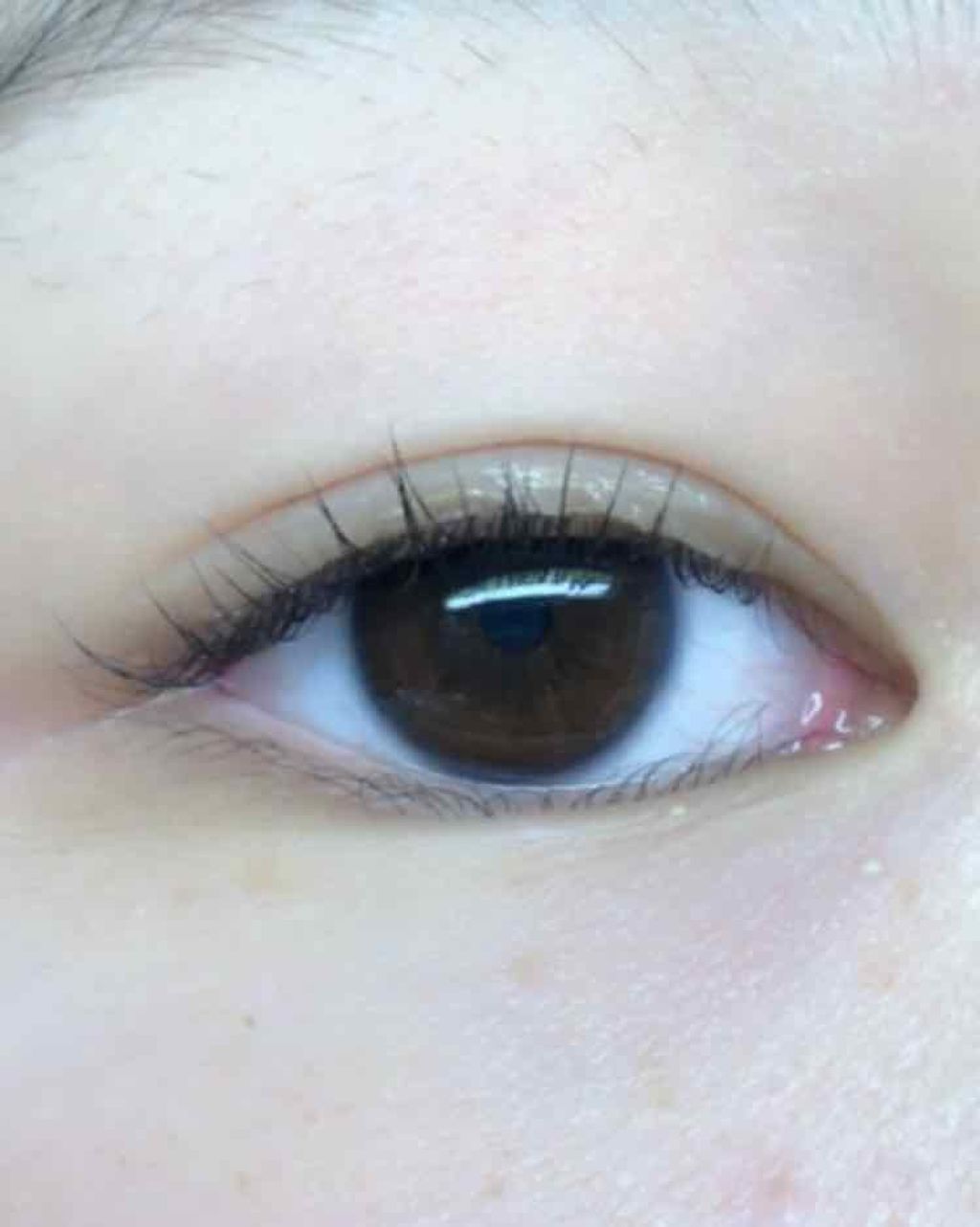 ルドゥーブル/ルドゥーブル/二重まぶた用アイテムを使ったクチコミ(3枚目)