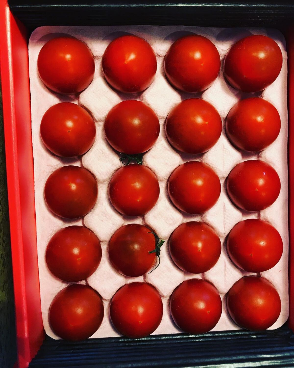 BH Tomato/リコピュア/食品を使ったクチコミ(1枚目)