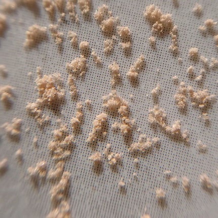 インビジブル エッセンス ルースパウダー グロウ/ADDICTION/ルースパウダーを使ったクチコミ(7枚目)