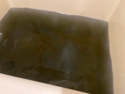 みゅう on LIPS 「お塩のお風呂 汗かきエステ気分黒の衝撃魅惑のカシスの香りパケ買..」(5枚目)