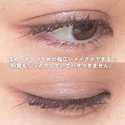 プティパレットアイズ/キャンメイク/パウダーアイシャドウを使ったクチコミ(5枚目)