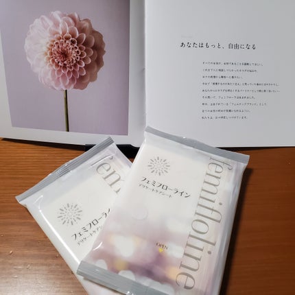 フェミフローライン デリケートケアシート/わかもと製薬/デリケートゾーンケアを使ったクチコミ(1枚目)