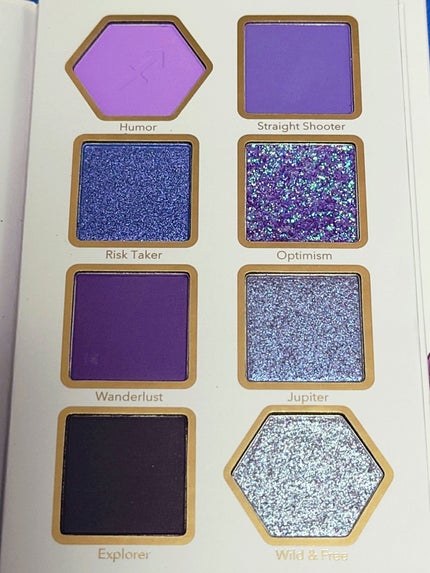 Spontaneous Sagittarius アイパレット/SHEGLAM/アイシャドウパレットを使ったクチコミ(3枚目)