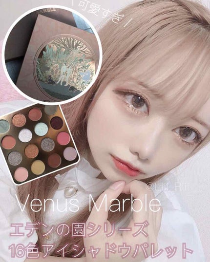 エデンの園 アイシャドウパレット/Venus Marble/アイシャドウパレットを使ったクチコミ(1枚目)