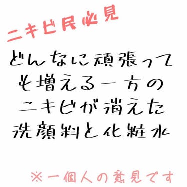 ハトムギ化粧水(ナチュリエ スキンコンディショナー R )/ナチュリエ/化粧水を使ったクチコミ（1枚目）