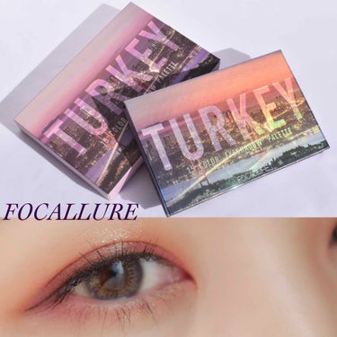 FOCALLURE GO TRAVEL 15色アイシャドウパレットのクチコミ「FOCALLURE
15色アイシャドウパレット

4 TURKEY

偏光カラー、ラメカラーが.....」（1枚目）