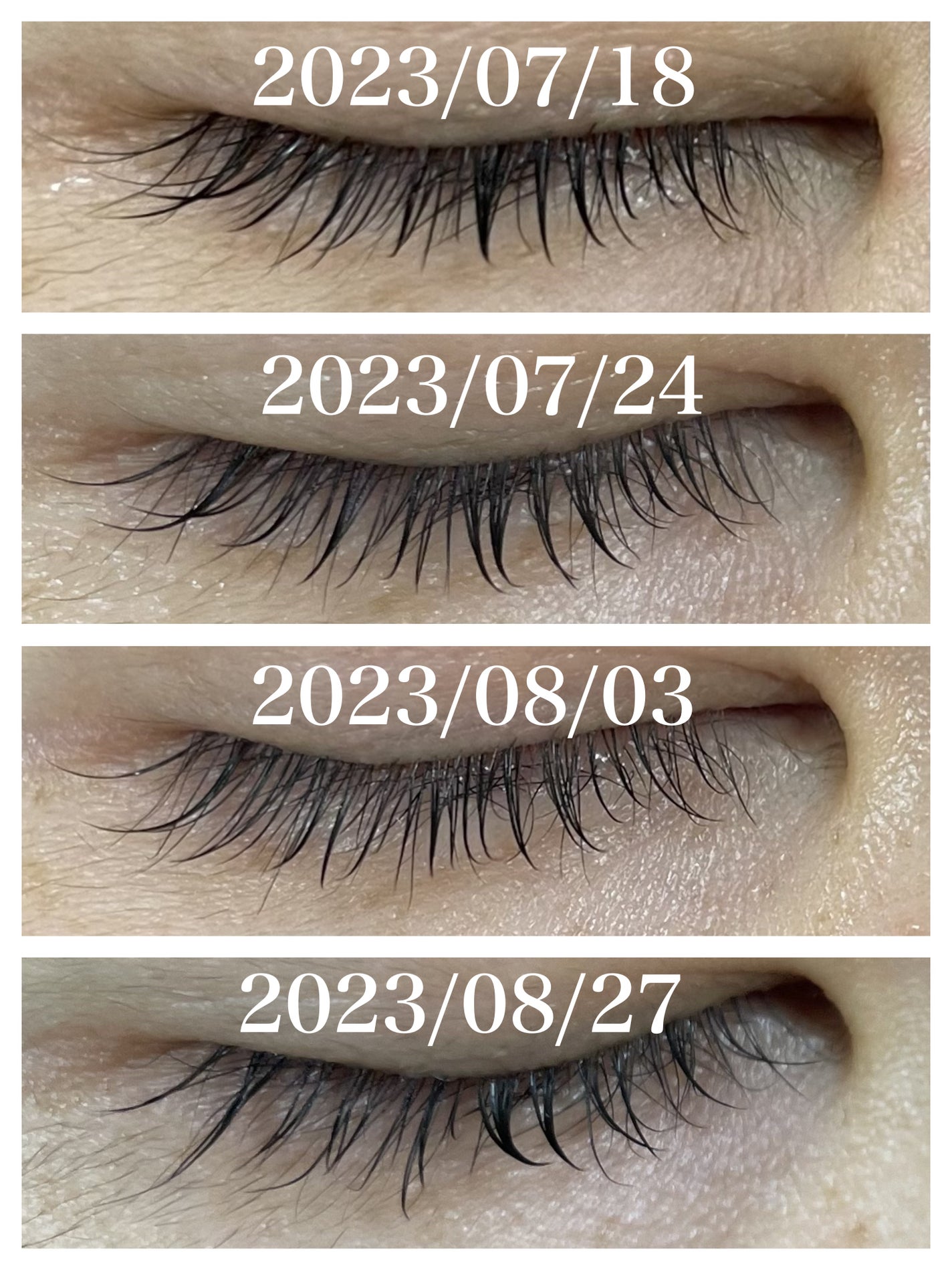 ラッシュアディクト アイラッシュコンディショニングセラム/soaddicted/まつげ美容液を使ったクチコミ(2枚目)