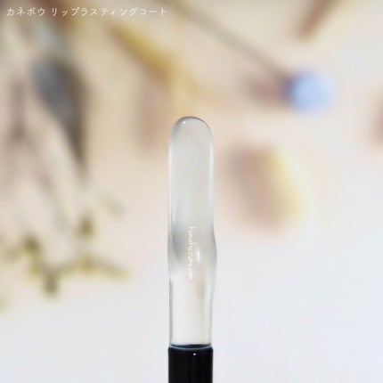 リップラスティングコート/KANEBO/リップグロスを使ったクチコミ(2枚目)
