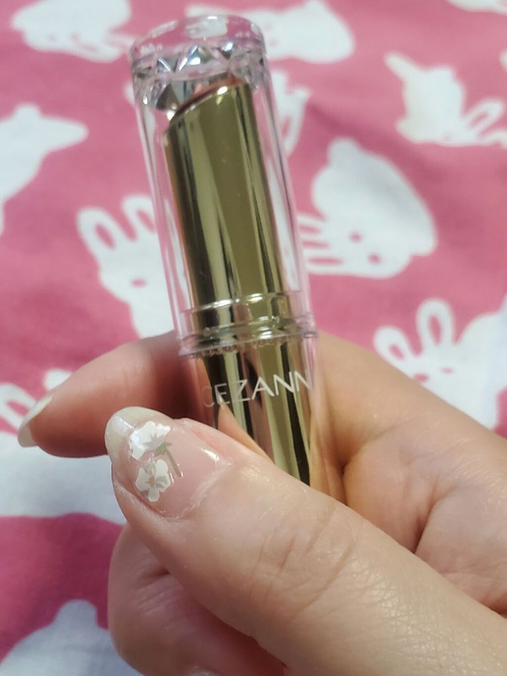 ラスティンググロスリップ 101 ブラウン系/CEZANNE/口紅を使ったクチコミ（1枚目）