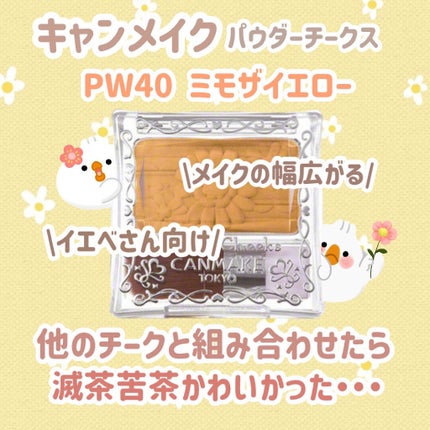 【旧品】パウダーチークス/キャンメイク/パウダーチークを使ったクチコミ(1枚目)