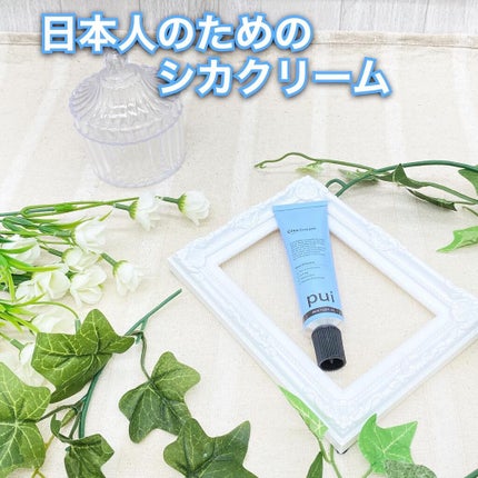 cica cream/PUI/フェイスクリームを使ったクチコミ(1枚目)