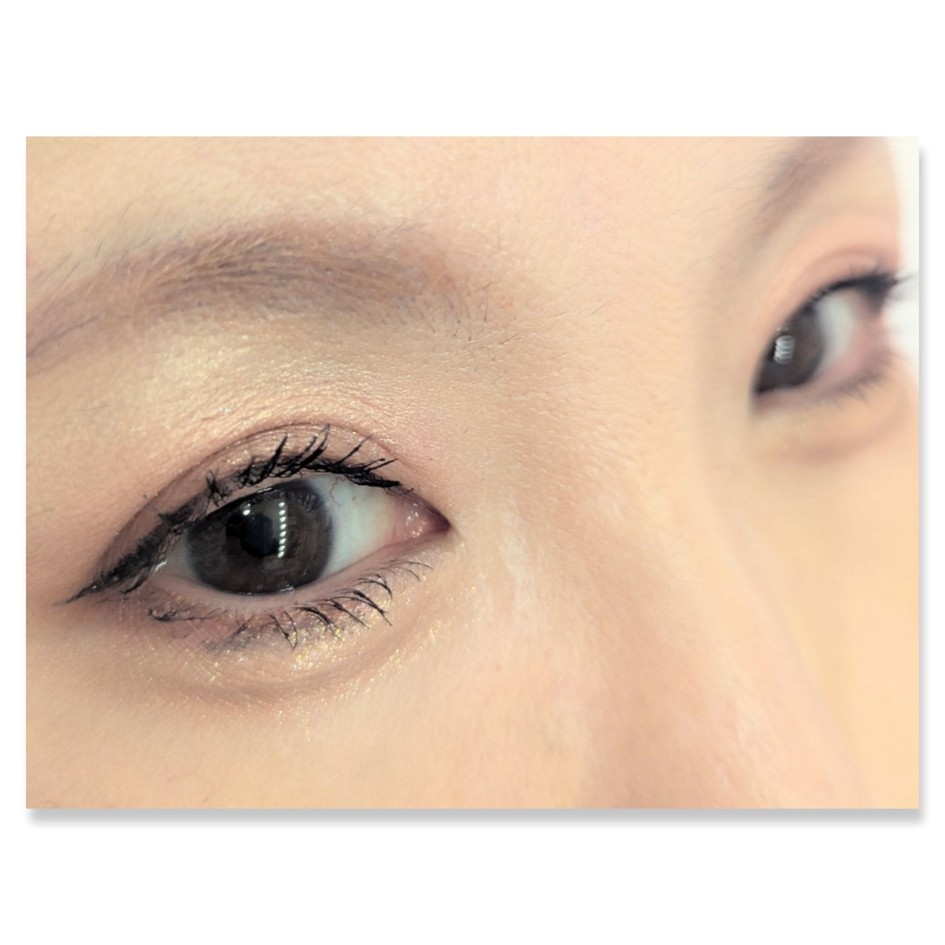 ジュエリーシャドウベール/キャンメイク/アイシャドウパレットを使ったクチコミ（2枚目）