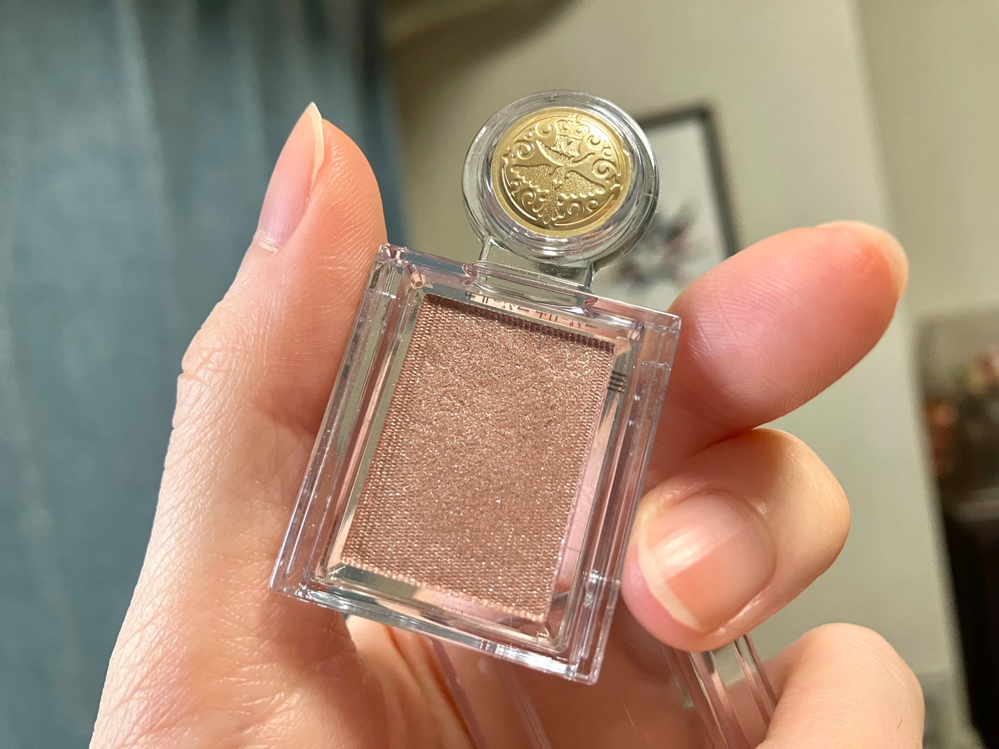 シャドーカスタマイズ/MAJOLICA MAJORCA/単色アイシャドウを使ったクチコミ(1枚目)