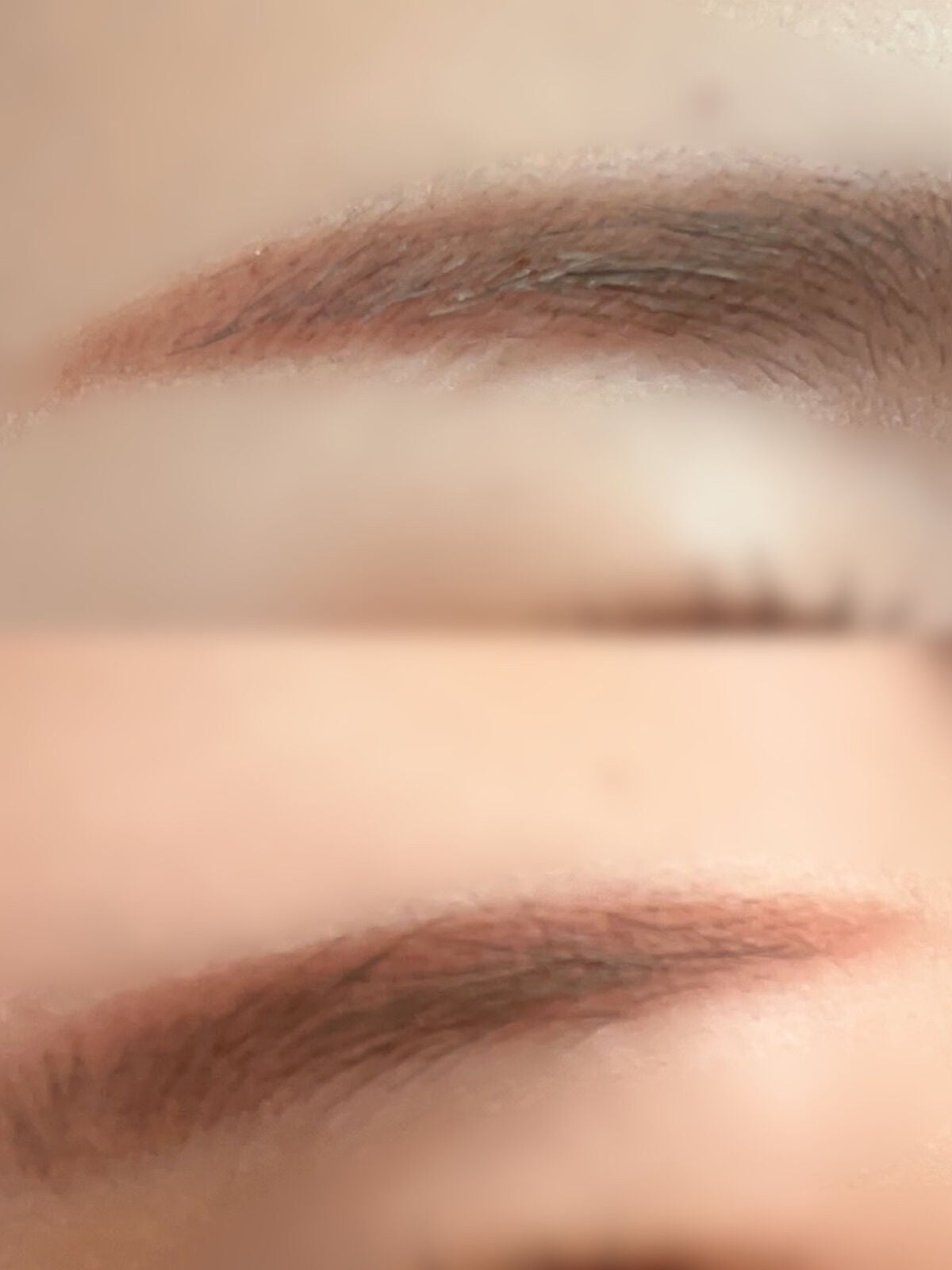 ノーズ&アイブロウパウダー/CEZANNE/パウダーアイブロウを使ったクチコミ(5枚目)