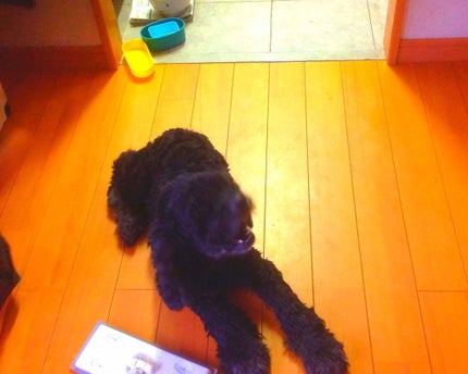 を使ったクチコミ(2枚目)