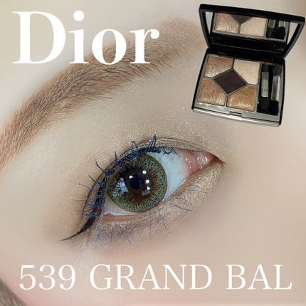 シニャチュール ドゥ シャネル/CHANEL/リキッドアイライナーを使ったクチコミ(1枚目)