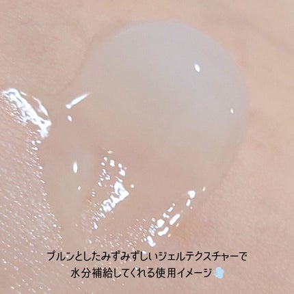 シカバイオプラセンタクリーム/NATURAL DERMA PROJECT/フェイスクリームを使ったクチコミ(4枚目)