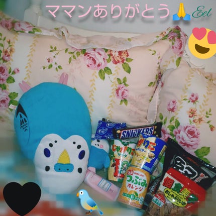 毒いちご⿴⿻⿸ on LIPS 「やっぱり今日もオールしてしまう…お菓子最高✨コロナウイルス本当..」(1枚目)