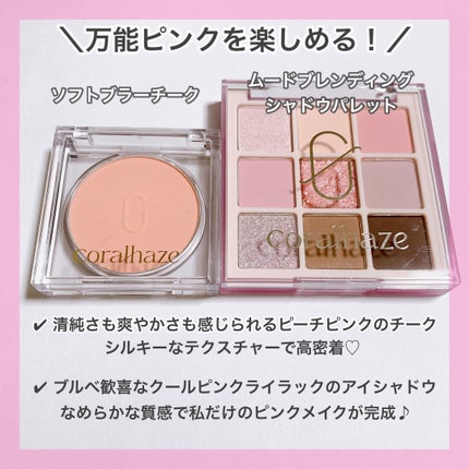 ムードブレンディングシャドウパレット/Coralhaze/アイシャドウパレットを使ったクチコミ(2枚目)