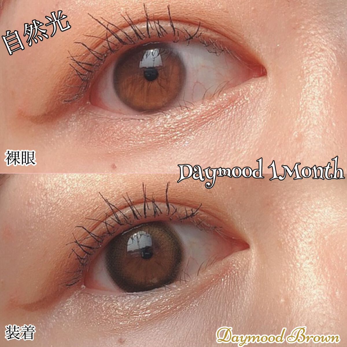 デームードブラウンマンスリー (DAYMOOD BROWN monthly)/OLOLA/1ヶ月(1MONTH)カラコンを使ったクチコミ(4枚目)