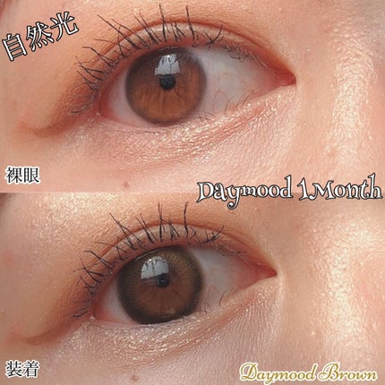 デームードブラウンマンスリー (DAYMOOD BROWN monthly)/OLOLA/1ヶ月(1MONTH)カラコンを使ったクチコミ(4枚目)