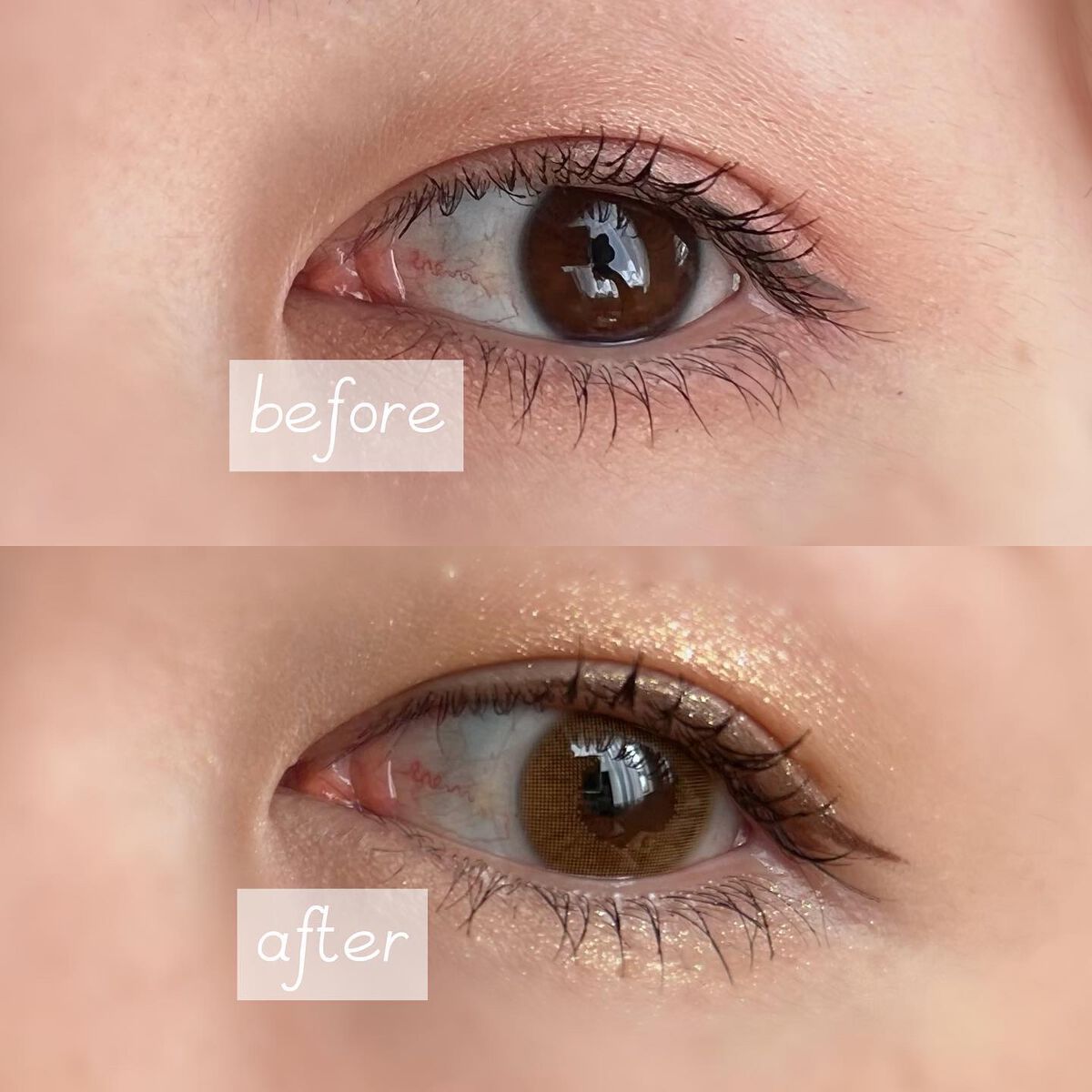 N’s COLLECTION 1day/N’s COLLECTION/ワンデー(1DAY)カラコンを使ったクチコミ(3枚目)