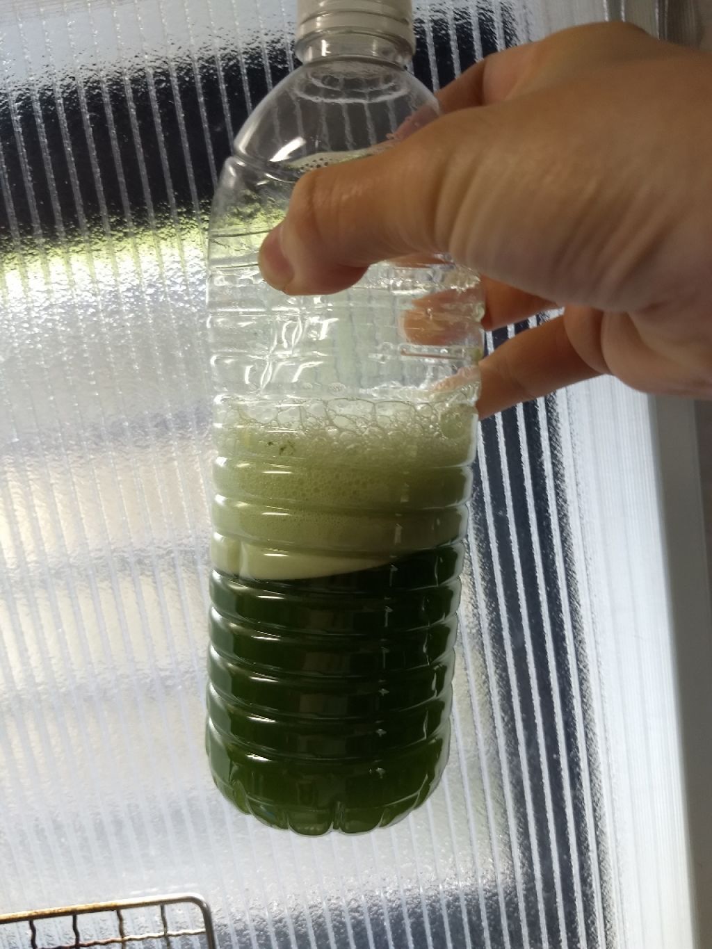 九州産有機栽培 大麦若葉使用 フルーツ青汁/NAGAI/青汁を使ったクチコミ(4枚目)