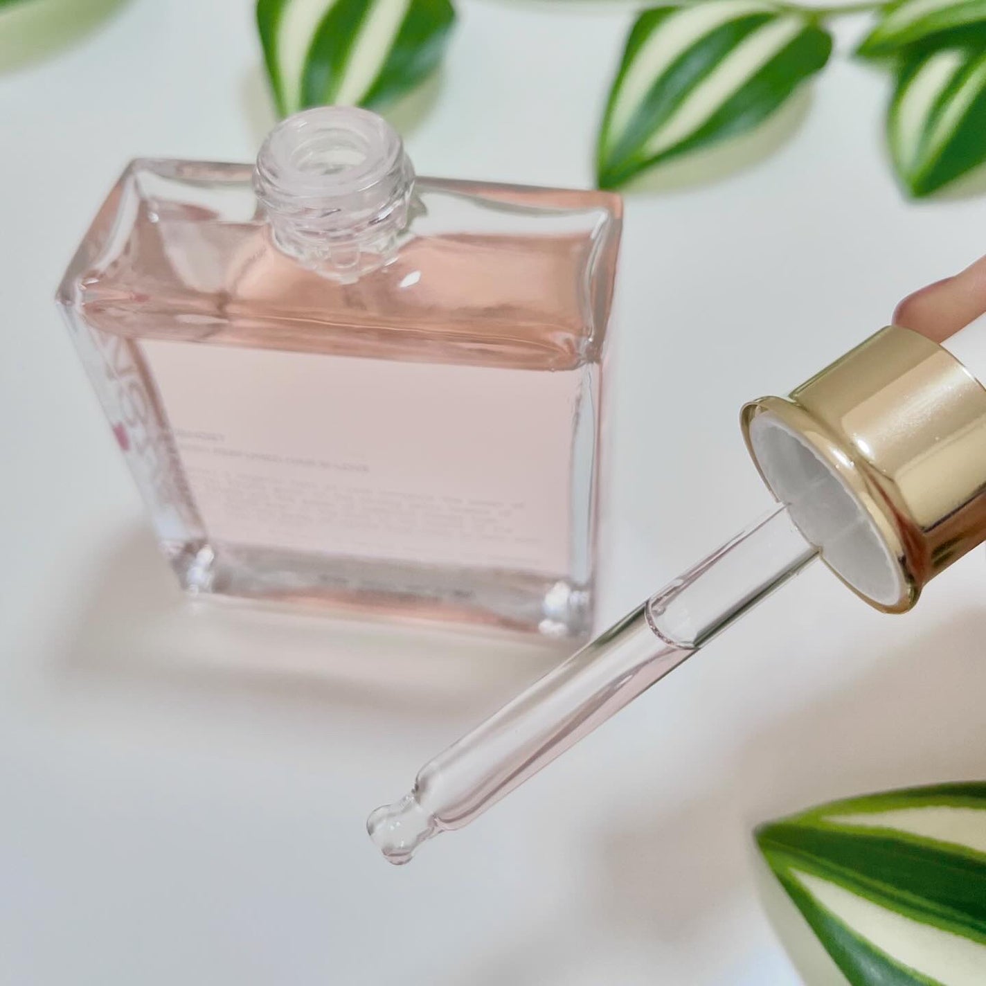 オーガニックヘアシロップ/PINKGHOST/ヘアオイルを使ったクチコミ(4枚目)