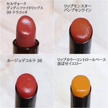 ディグニファイド リップス/Celvoke/口紅を使ったクチコミ(6枚目)