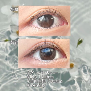 デコラティブアイズ ヴェール Cassis Sherbet/Decorative Eyes/カラーコンタクトレンズを使ったクチコミ（2枚目）