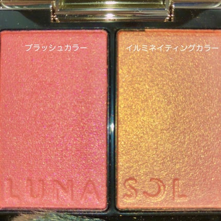 カラーリンググレイズ/LUNASOL/パウダーチークを使ったクチコミ(2枚目)