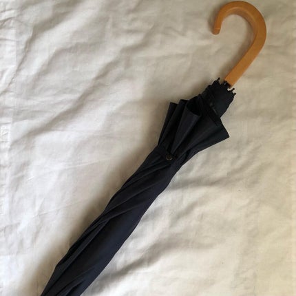 サンバリア100/サンバリア100/日傘を使ったクチコミ(4枚目)