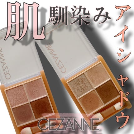 ベージュトーンアイシャドウ/CEZANNE/アイシャドウパレットを使ったクチコミ(1枚目)
