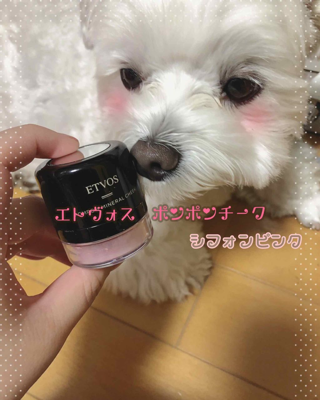 ポンポンミネラルチーク ピンク/エトヴォス/パウダーチークを使ったクチコミ（1枚目）