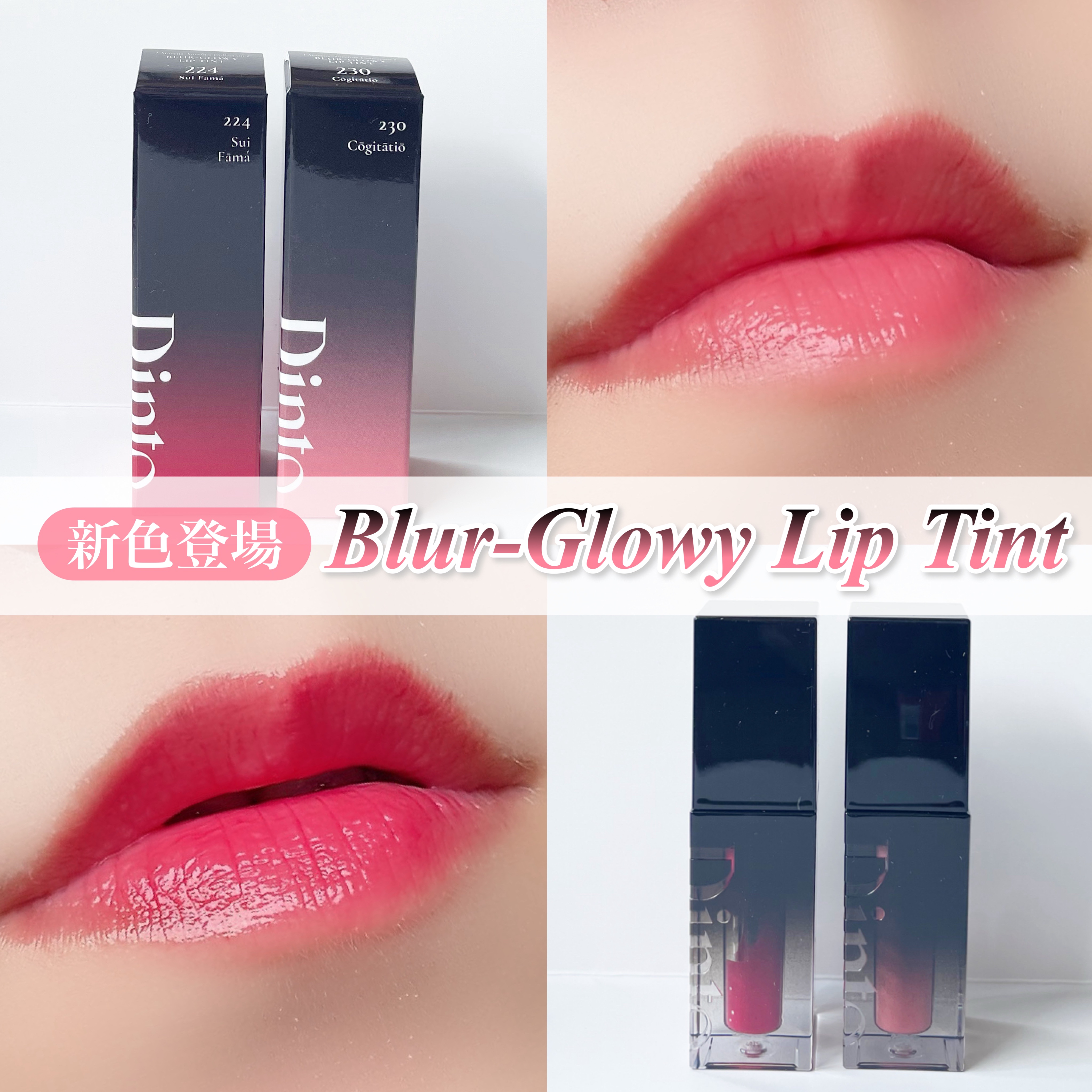 ブラーグロイリップティント/Dinto/リップティントを使ったクチコミ（1枚目）