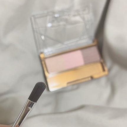 ノーズ&アイブロウパウダー/CEZANNE/パウダーアイブロウを使ったクチコミ(3枚目)