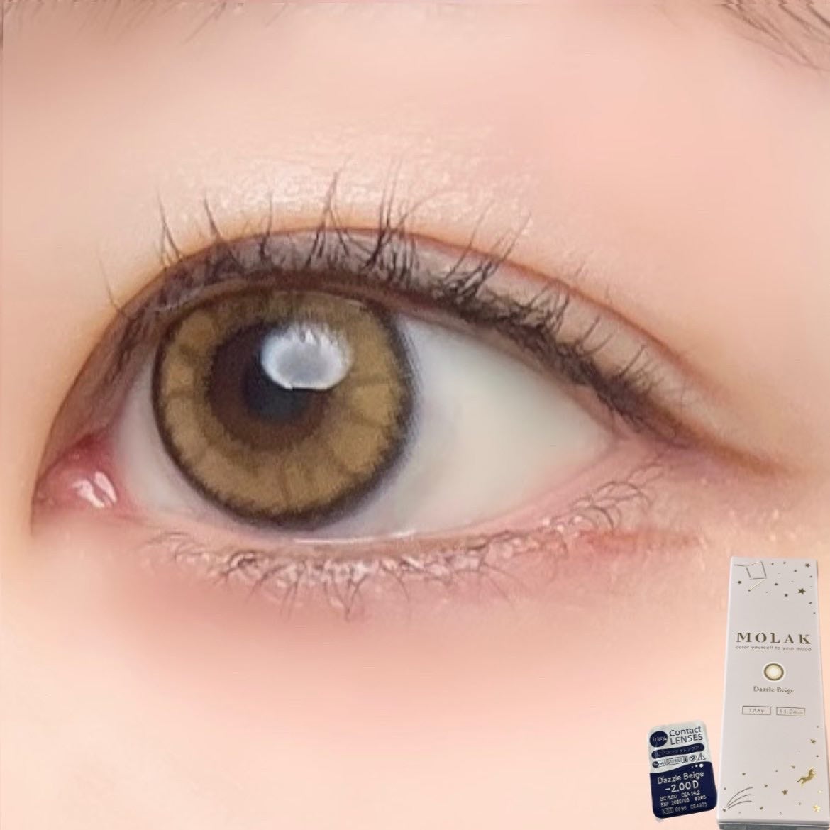 MOLAK 1day/MOLAK/ワンデー(1DAY)カラコンを使ったクチコミ(6枚目)