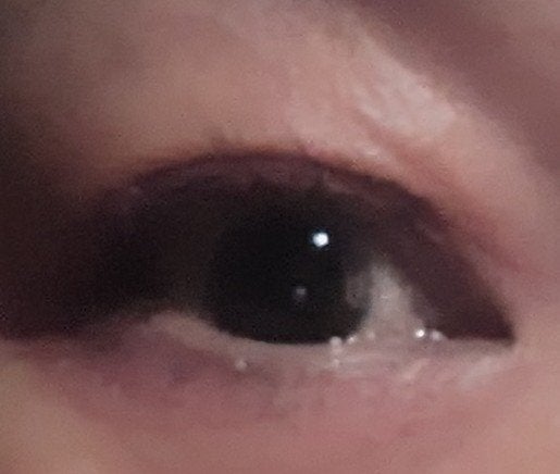 ラッシュエキスパンダー ロングロングロング/MAJOLICA MAJORCA/マスカラを使ったクチコミ(2枚目)