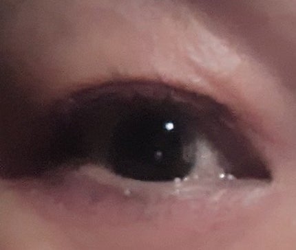 ドリームランドアイシャドウ ( 4シェード ) #01 ピンク/ZEESEA/アイシャドウパレットを使ったクチコミ(2枚目)