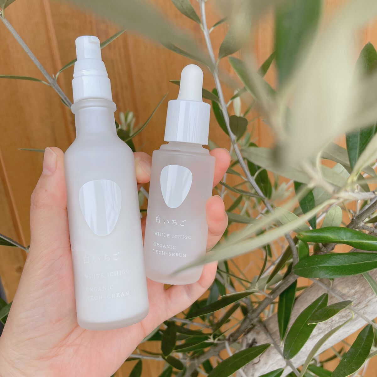 オーガニック テック-セラム/WHITE ICHIGO/美容液を使ったクチコミ（1枚目）