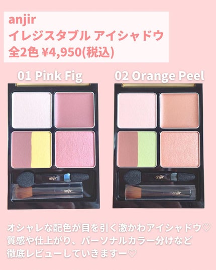 イレジスタブル アイシャドウ/anjir/アイシャドウパレットを使ったクチコミ(2枚目)