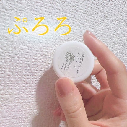 ぷろろ化粧品 ぷろろ白樺みつろうクリーム