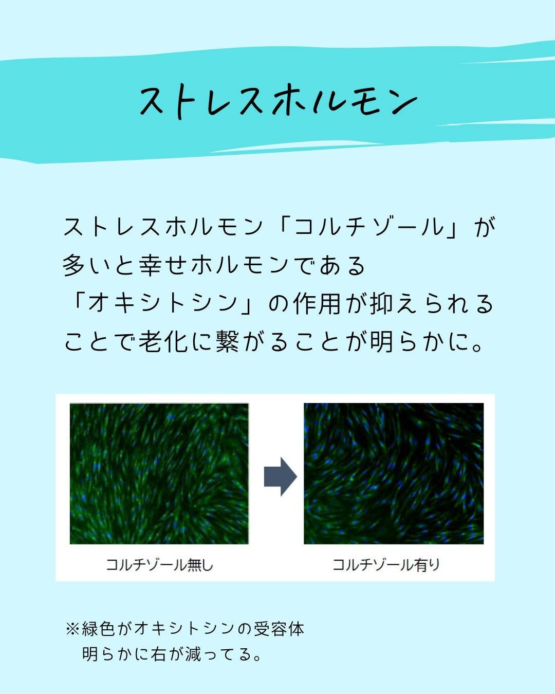 とまと村長@化粧品研究者 on LIPS 「@tomato4researcher化粧品会社に勤めているとま..」(4枚目)