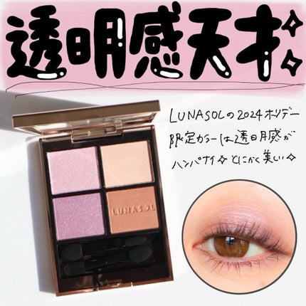 ルナソル アイカラーレーションN/LUNASOL/アイシャドウパレットを使ったクチコミ(1枚目)