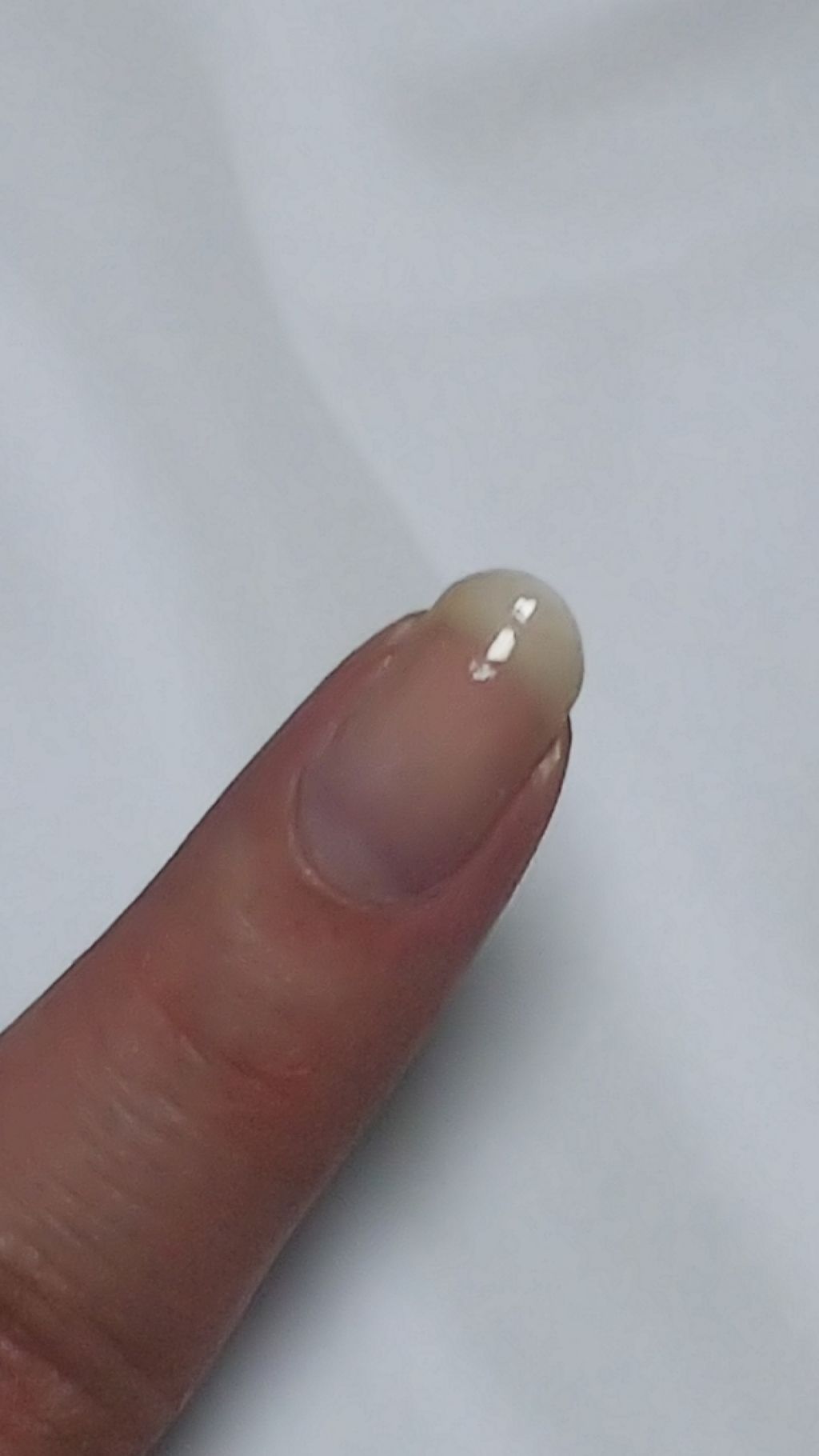 生まれのブランドで 送料無料 l ネイルネイル スプリットリペアn 6ml ネイル亀裂補修コート 1個