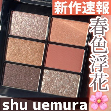 クロマティックス ウキバナジンジャー/shu uemura/アイシャドウパレットを使ったクチコミ（1枚目）